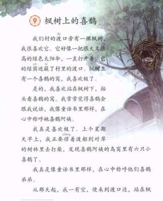 喜鹊的小短文（喜鹊的小短文三年级）-图3