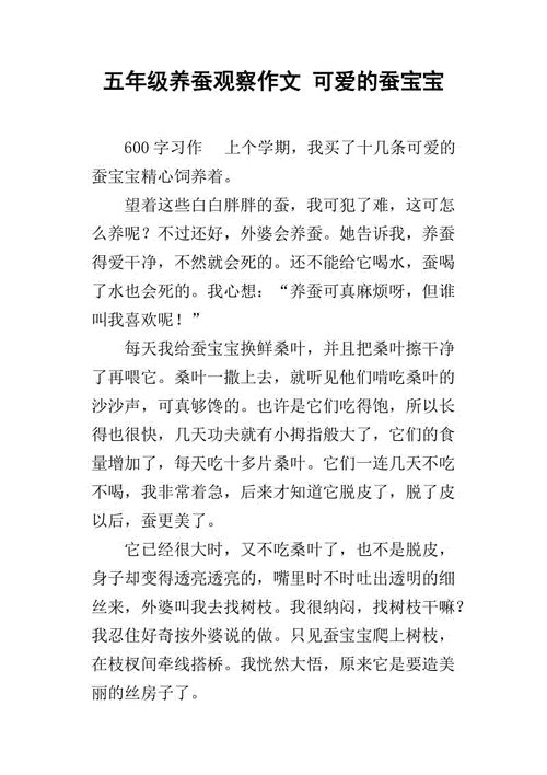 养蚕阅读短文（养蚕阅读短文答案）-图3