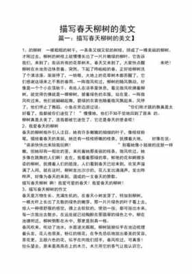 有关垂柳的阅读短文（垂柳的阅读题）-图2