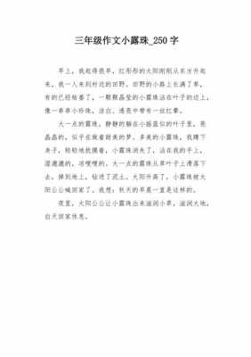 小露珠的短文（小露珠的短文怎么写）-图1