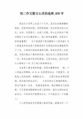 阅读短文心灵的选择（心灵的选择作文800字记叙文）-图2