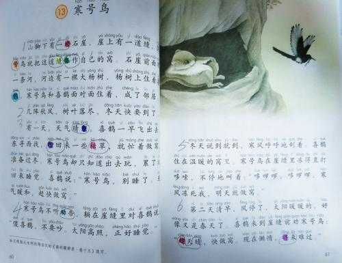 寒号鸟短文（寒号鸟节选阅读答案）-图2