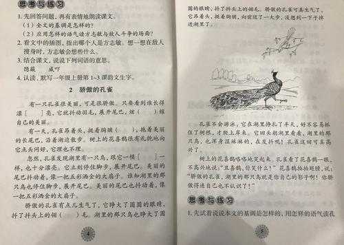 阅读短文骄傲的孔雀（小学语文骄傲的孔雀）-图1