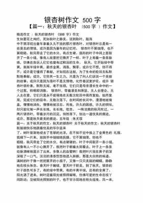 关于银杏的唯美短文（关于银杏的文字）-图2