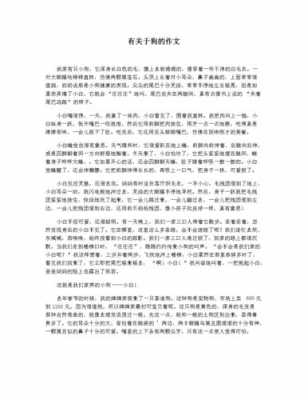 骄傲的马短文（骄傲的马短文中对小狗与小兔的评价）-图1