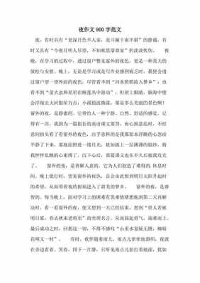 ()()之夜的短文（什么什么之夜的作文600字）-图3