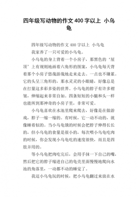 乌龟一短文阅读（乌龟短文阅读答案四年级）-图3