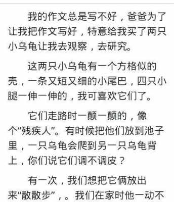 乌龟一短文阅读（乌龟短文阅读答案四年级）-图2