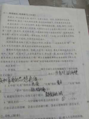 无名小岛阅读短文（无名小岛短文阅读答案三年级）-图3