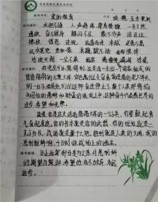 爱的秘密短文（爱的密码阅读答案）-图1