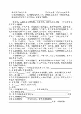 埋下鱼短文（埋下伏笔的含义和作用）-图2