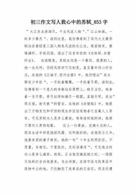 对苏轼的短文（关于对苏轼感想的作文）-图1