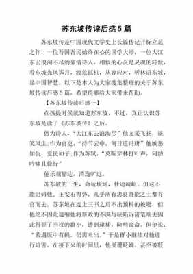 对苏轼的短文（关于对苏轼感想的作文）-图2