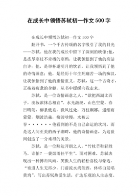 对苏轼的短文（关于对苏轼感想的作文）-图3