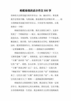 蚂蚁的启示小短文（蚂蚁的启示500字优秀作文）-图1