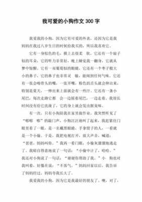 最喜欢的小狗短文（最喜欢的小狗短文三年级）-图3