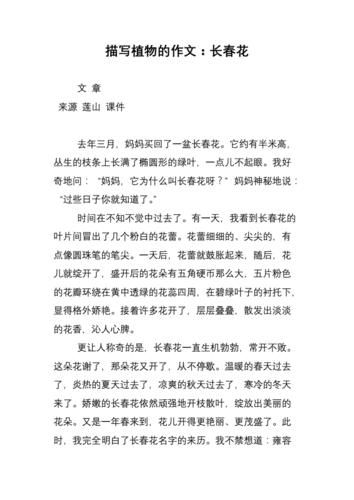 关于花的短文100（关于花的短文50字）-图3