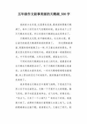 美丽的天鹅阅读短文（美丽的天鹅阅读短文怎么写）-图3