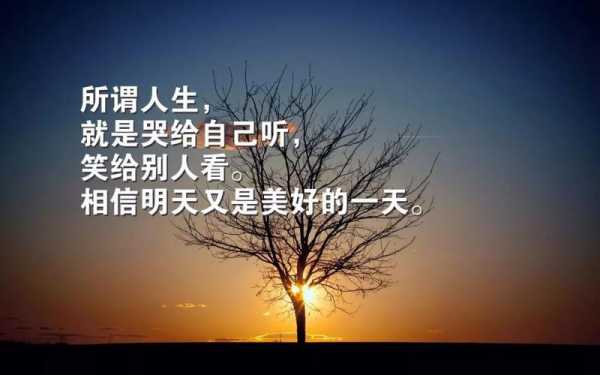 生活激励短文章（生活激励的语句）-图2