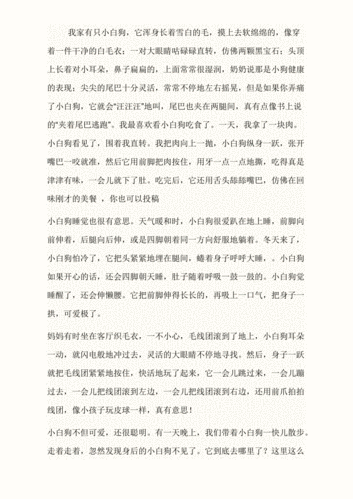 小狗理解短文（小狗阅读理解答案）-图2