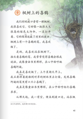 短文喜鹊答案（喜鹊这篇短文告诉我们）-图2