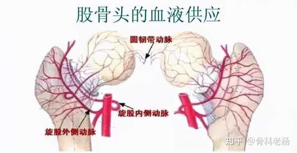 高肉细小短文的简单介绍-图2