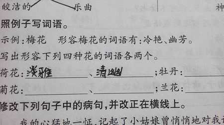 形容富贵的词语短文（形容富贵的词语短文三年级）-图1