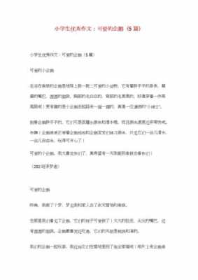 看企鹅短文（企鹅阅读理解答案）-图1