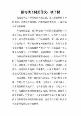 桔子树的来临短文（桔子树生长的过程作文）-图1