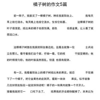 桔子树的来临短文（桔子树生长的过程作文）-图2