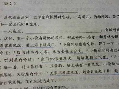 凄凉有文采短文（关于凄凉的文言文）-图2