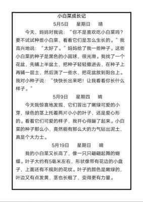 以观察为主短文（以观察为主题写一篇作文题目自拟）-图2