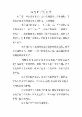 聪明的蝉短文答案（聪明的什么写一篇作文）-图2