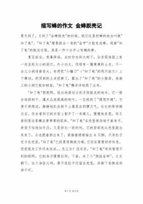 聪明的蝉短文答案（聪明的什么写一篇作文）-图3