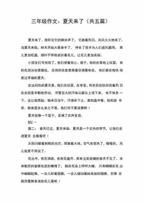 作文关于夏天的短文（搜一篇关于夏天的作文）-图3