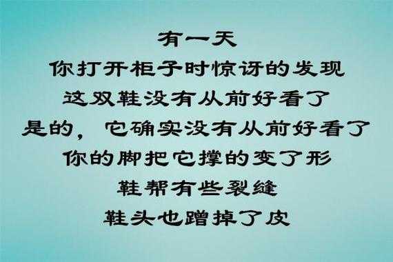 介绍鞋子的小短文（鞋子的介绍语）-图2