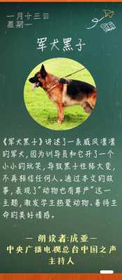 军太黑子短文（军犬黑子原文）-图3