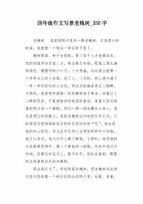 短文老槐树（短文老槐树两个特点）-图2